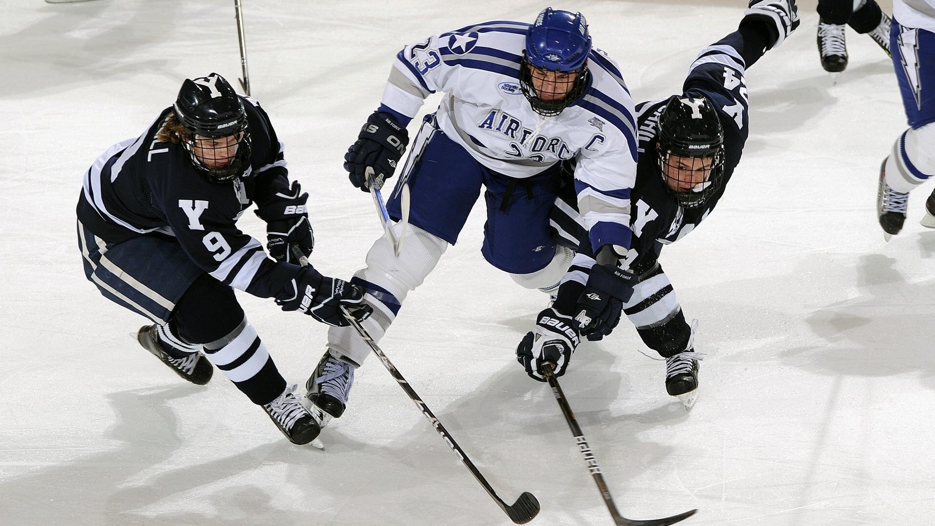 _老虎般的猛龙,鏖战到底笑到最后_,迅猛的老虎